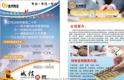 财务公司彩页 专业财务咨询，助力企业稳健成长